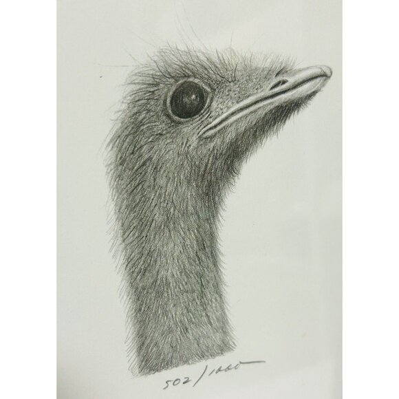 Lou Ferreri Ostriches Print Signed 1991 Edition 502/1000 St Paul Mn Black Frame - Picture 4 of 10